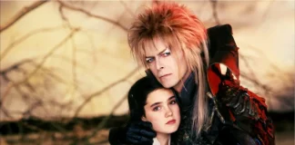 DENTRO DEL LABERINTO