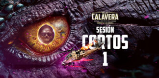SESIÓN DE CORTOS 1