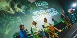 ENCUENTRO DE INDUSTRIA RODAR EN CANARIAS, CON EL IMPULSO DE LA TENERIFE FILM COMMISSION Encuentro de Industria Rodar en Canarias 2023